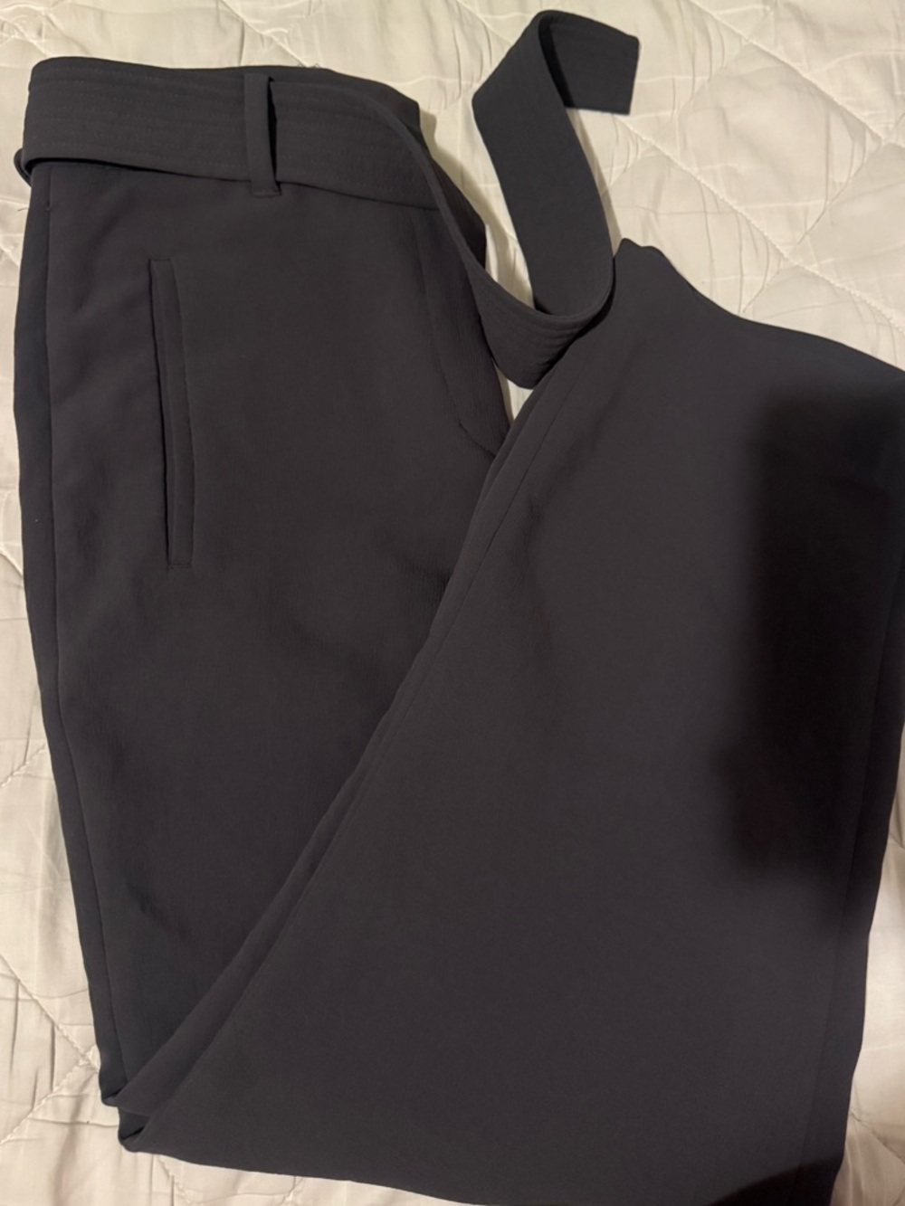 Aritzia Wilfred Dress Tie Pants